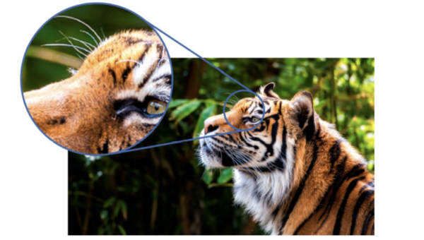 EPSON Premium HD projector 4K ANSI Lumens - Image 3